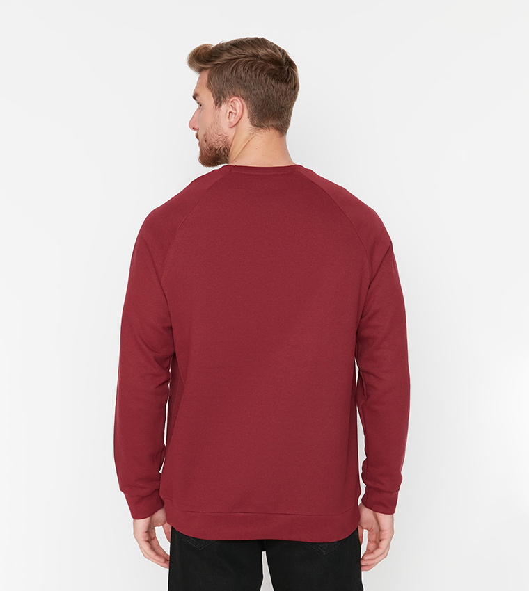 Basic Raglan Sleeves Oversized Sweatshirt