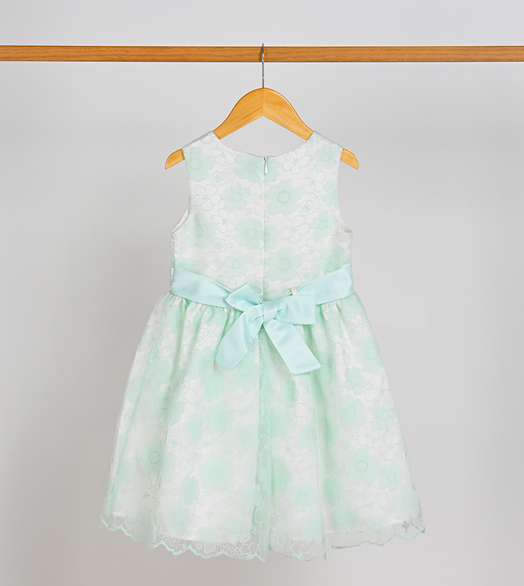 Embroidered Organza Fit and Flare Dress