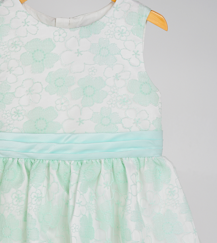 Embroidered Organza Fit and Flare Dress