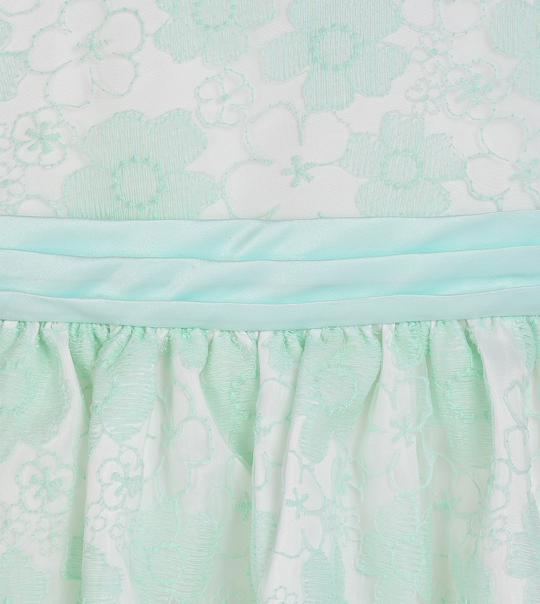 Embroidered Organza Fit and Flare Dress