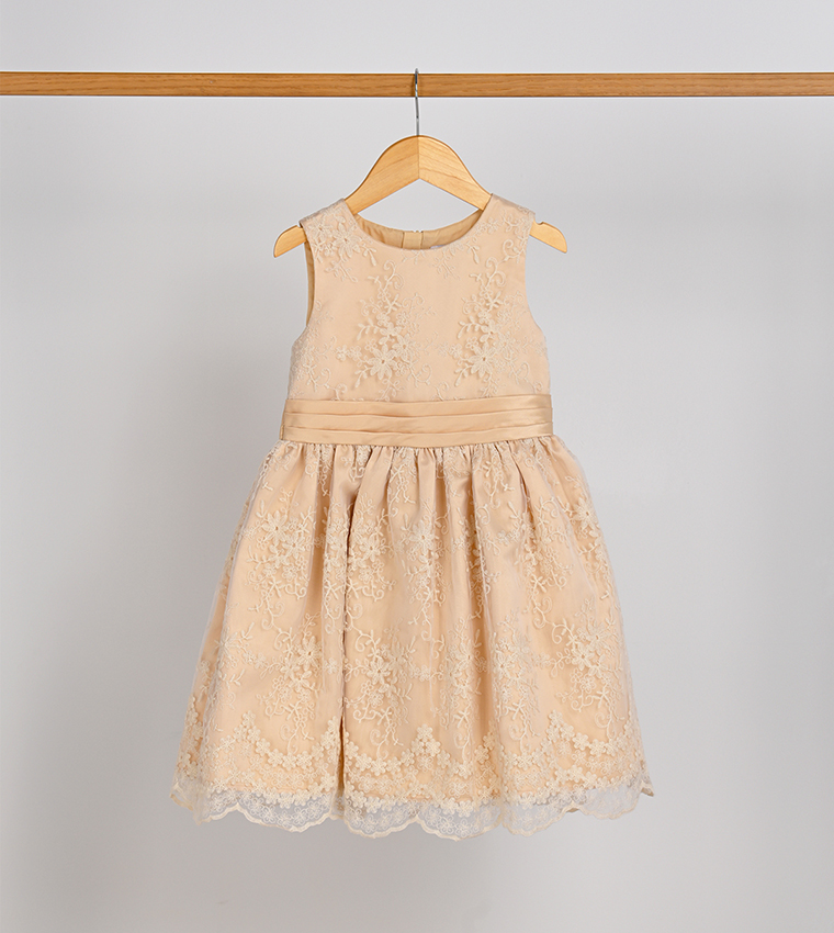 Embroidered Organza Fit and Flare Dress