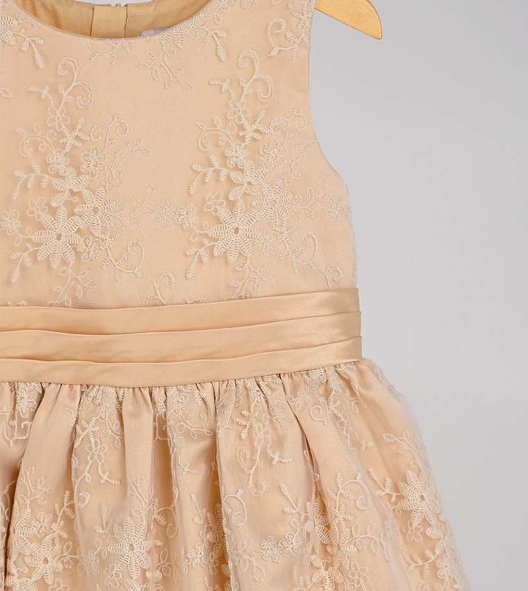 Embroidered Organza Fit and Flare Dress