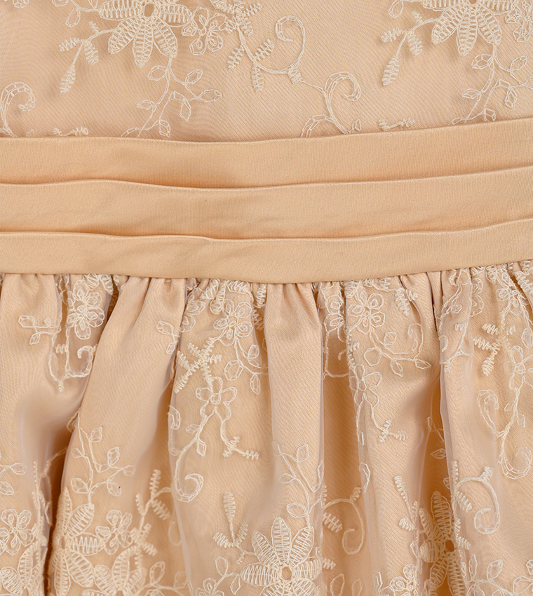 Embroidered Organza Fit and Flare Dress