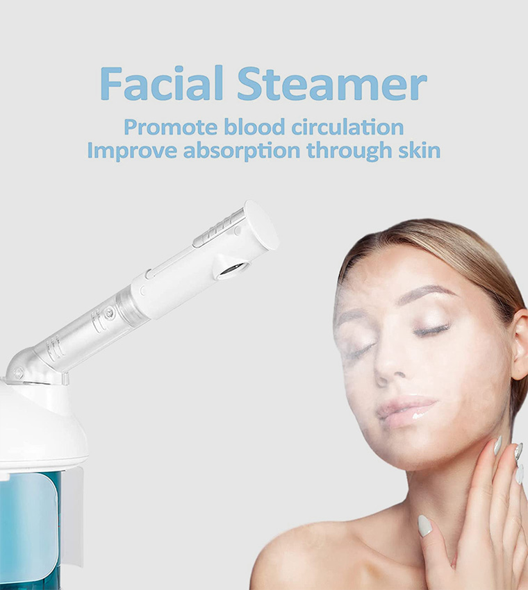 2 in 1 Hair and Facial Steamer