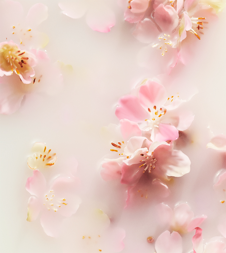 Sakura Refill Fragrance Sticks, 500ml