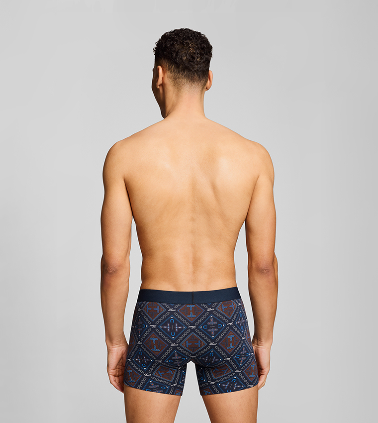 Pack of 2 Printed Trunks
