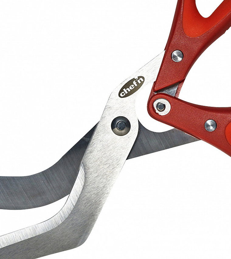 Buy Lakeland Chef'N Freshforce Pizza Scissors Multi In Multiple Colors
