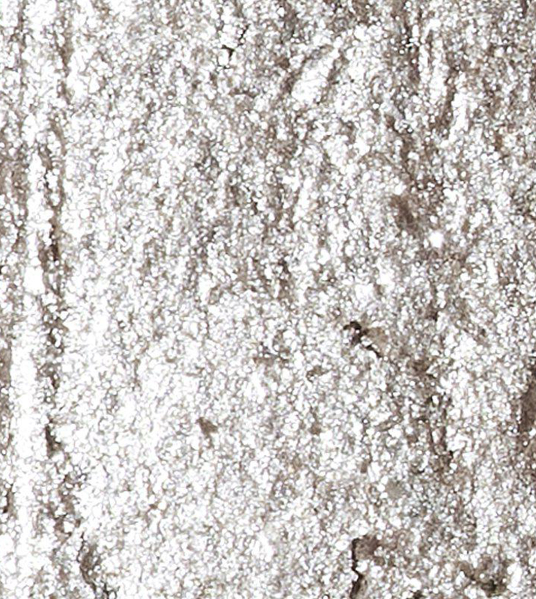 The Shimmer Longwear & Water-Resistant Eyeshadow Stick - 40 Silver Highlight, 1.2g