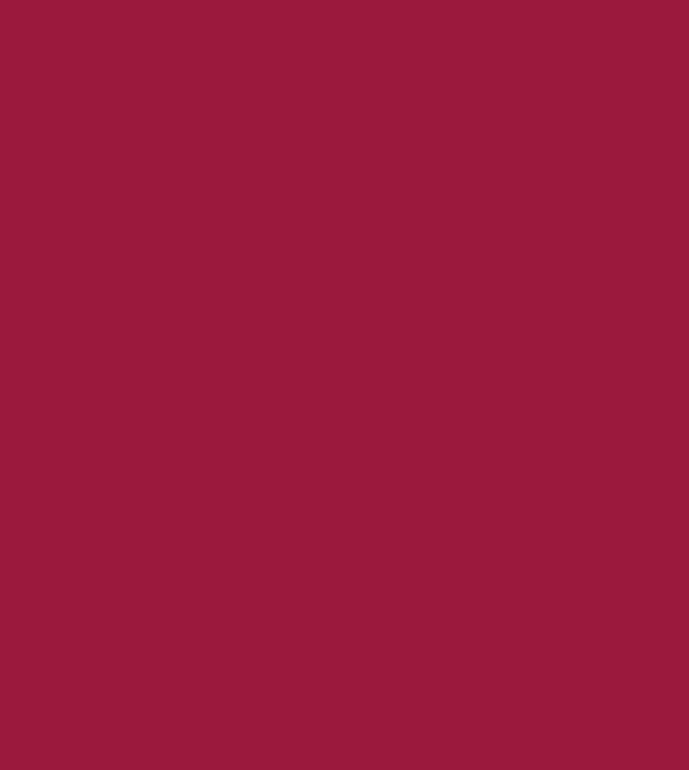 The Matte Lipstick - 22 Power Red, 1.6g