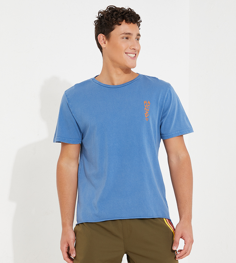 Havaianas t sale shirt