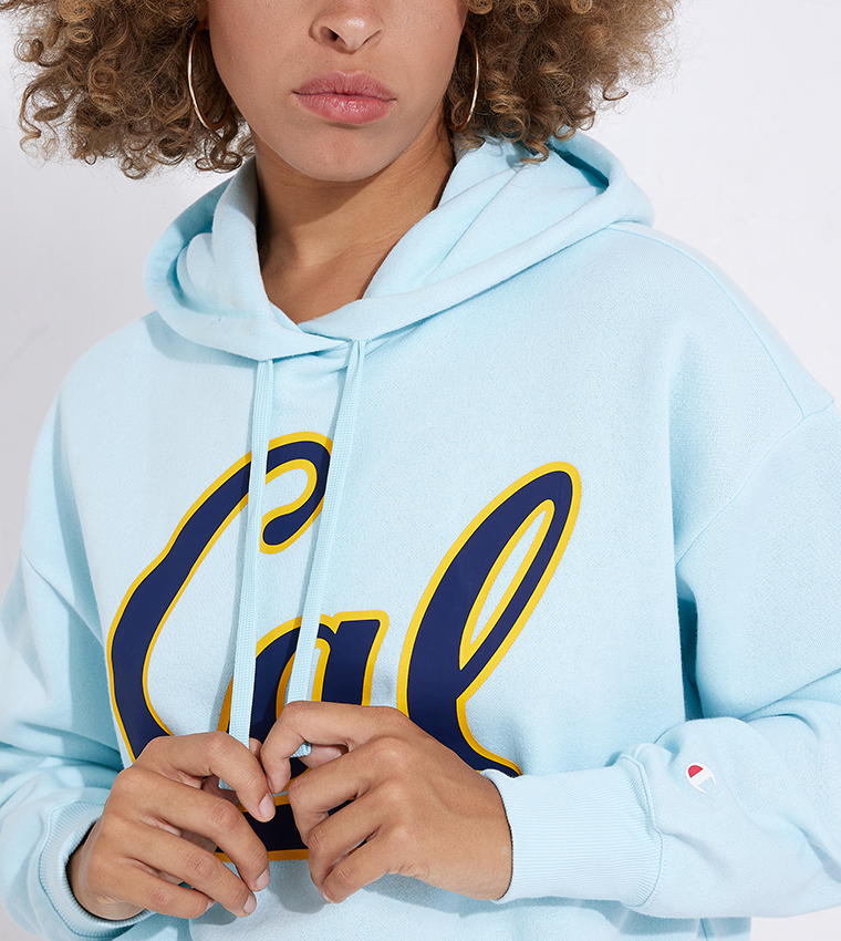 Champion sweater light outlet blue hair