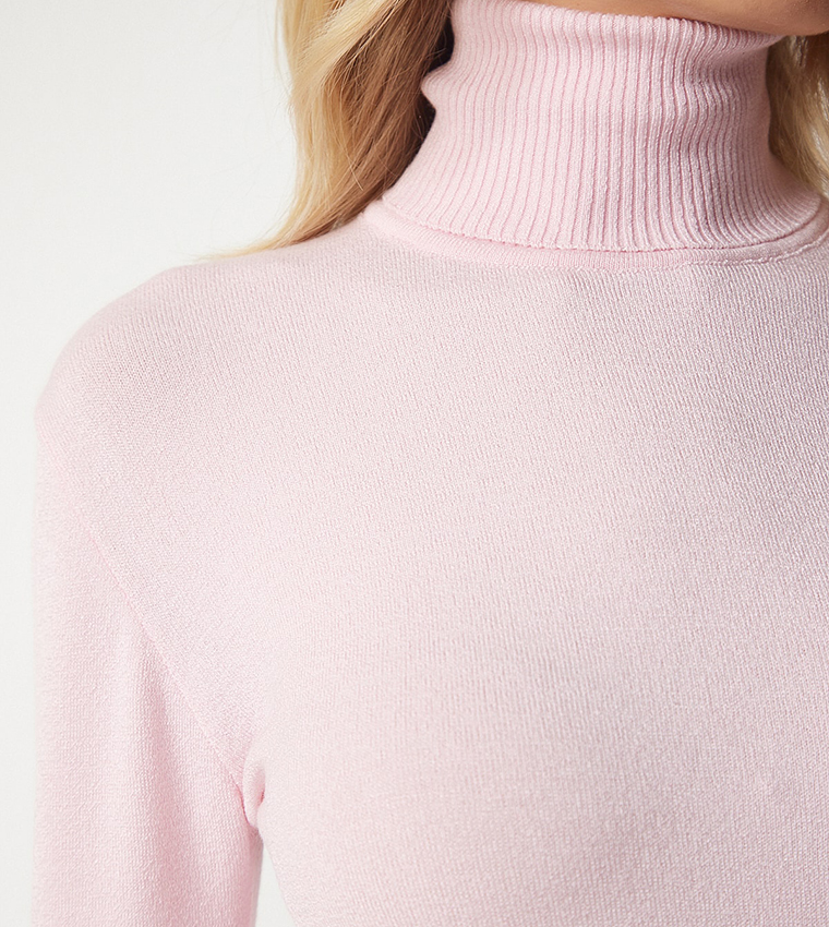 Solid Turtleneck Sweater