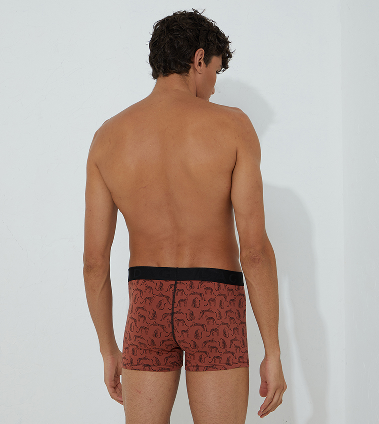 Printed Regular Boxer