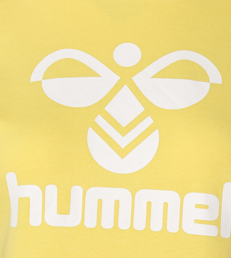 هودي بأكمام راغلان وطبعة الشعار 