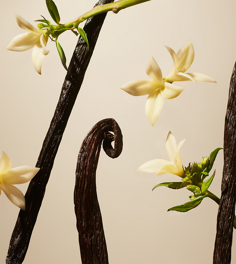 Suede Vanilla Fragrance Sticks - 450ml