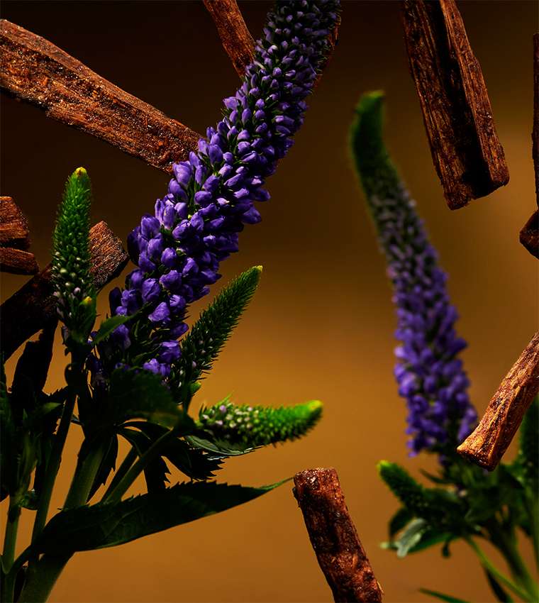 مقشر جسم بالسكر ذا ريتوال أوف عود - 250غ