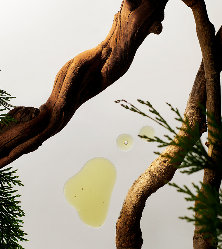 Homme 24h Anti-Perspirant Stick - 75ml