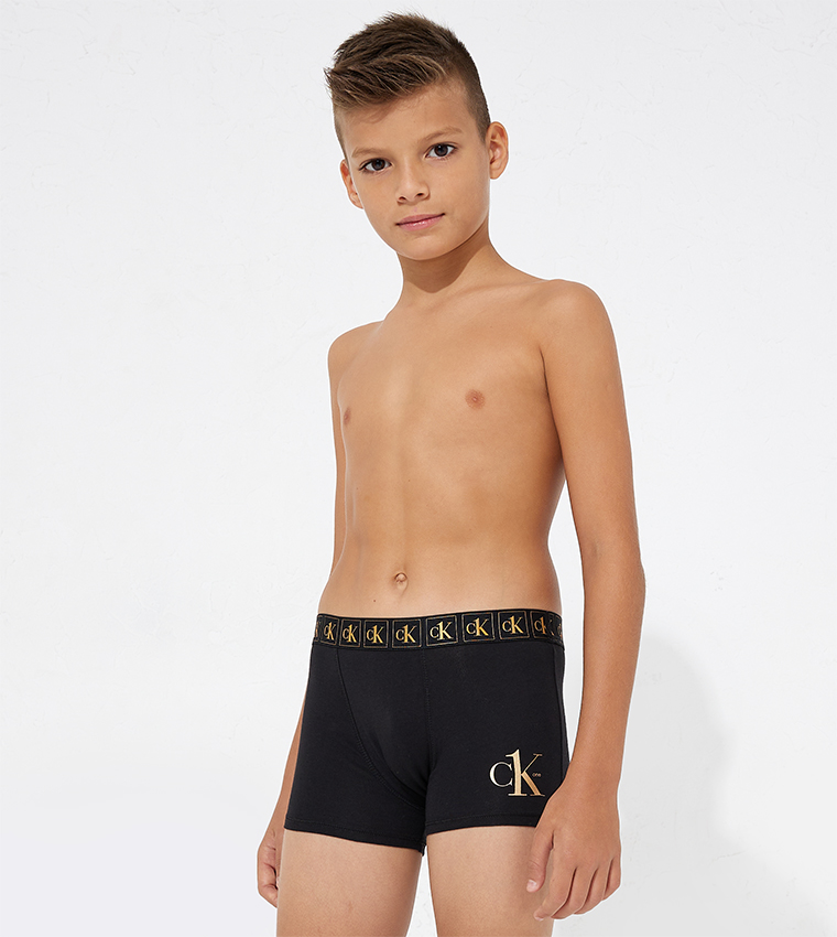 Buy Calvin Klein Pack Of 2 Boy s Logo Waistband Trunks In Black 6thStreet Bahrain