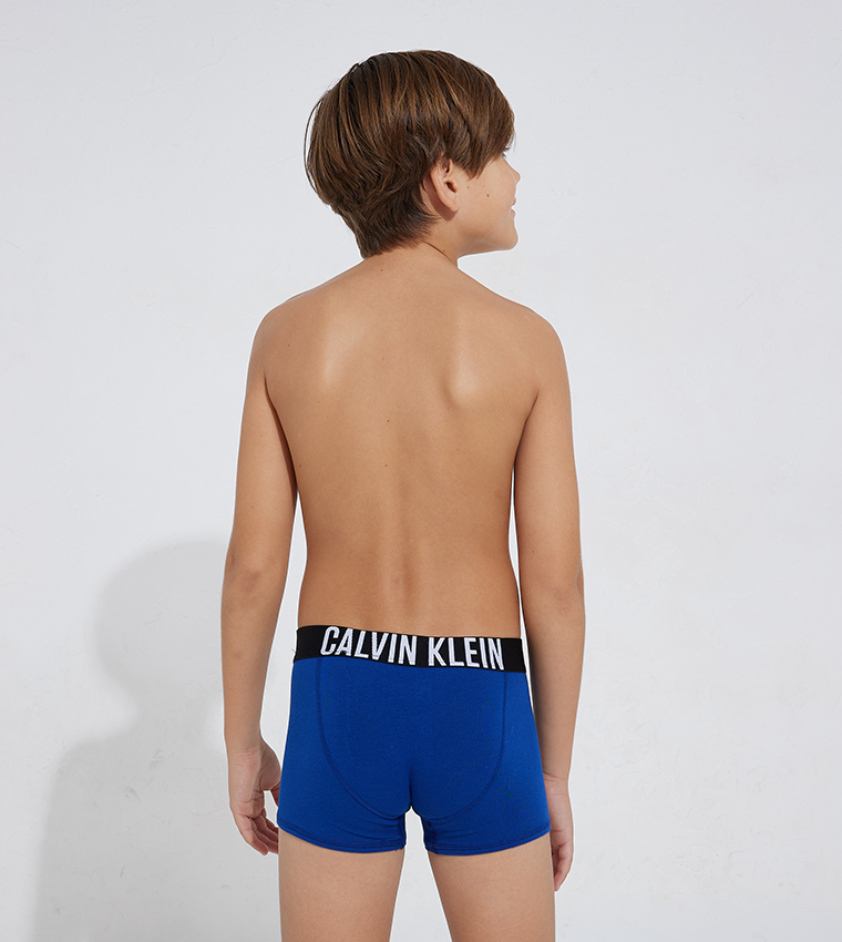 Pack of 2 Logo Waistband Trunks