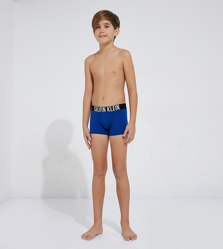 Pack of 2 Logo Waistband Trunks