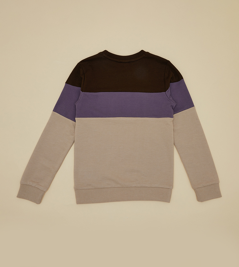 Colorblocked Crewneck Sweatshirt - Multi-color