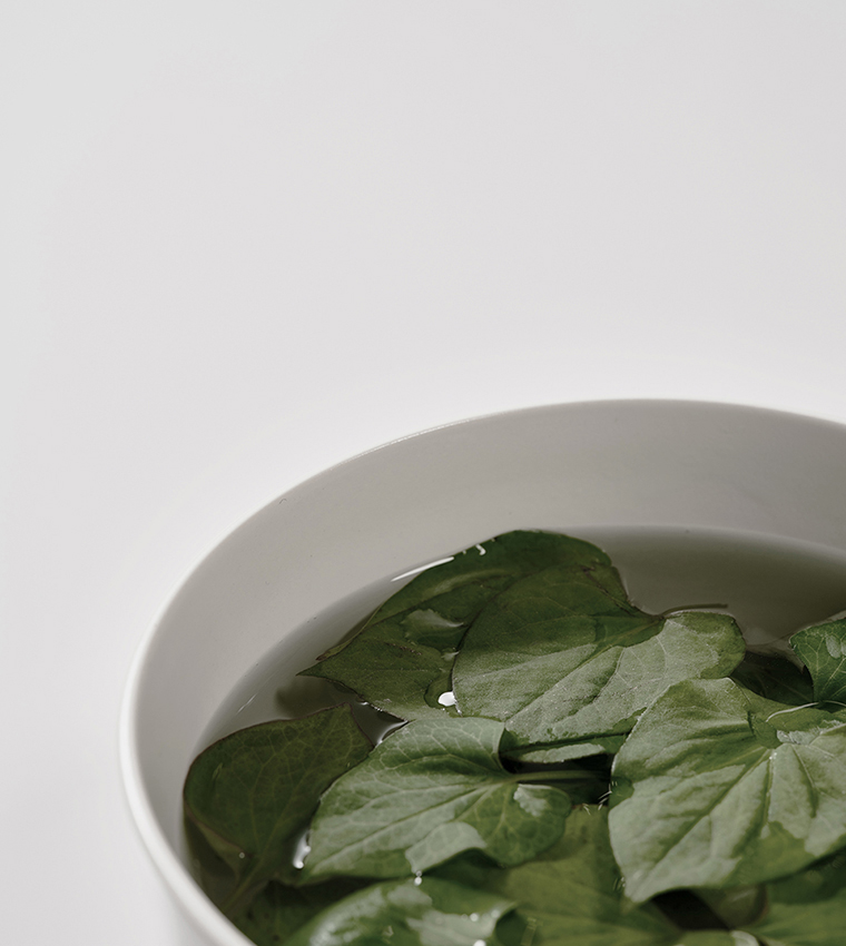 Heartleaf 77% Soothing Toner, 250ml