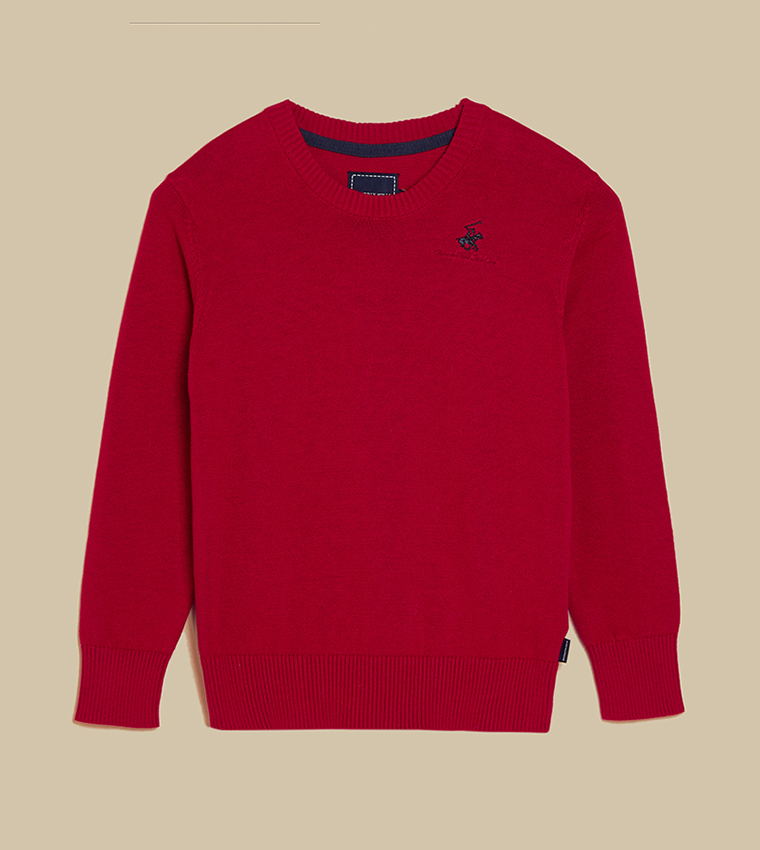 Red polo deals sweater