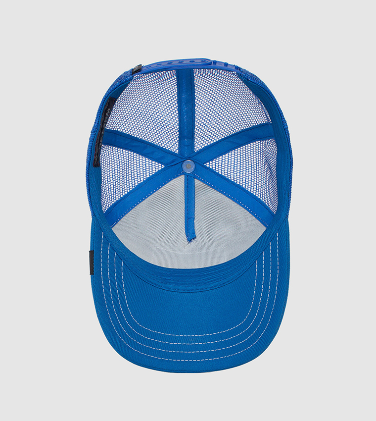 Stripe Earner Trucker Cap