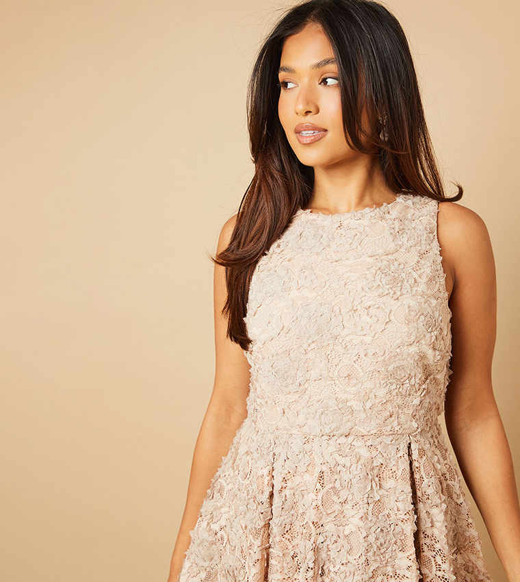 Petite Textured Lace Crew Neck Mini Dress