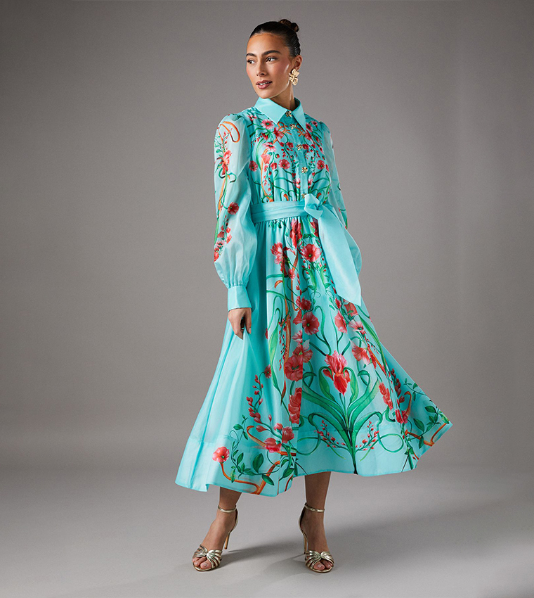 Boarder Print Organza Midi Shirt Dress