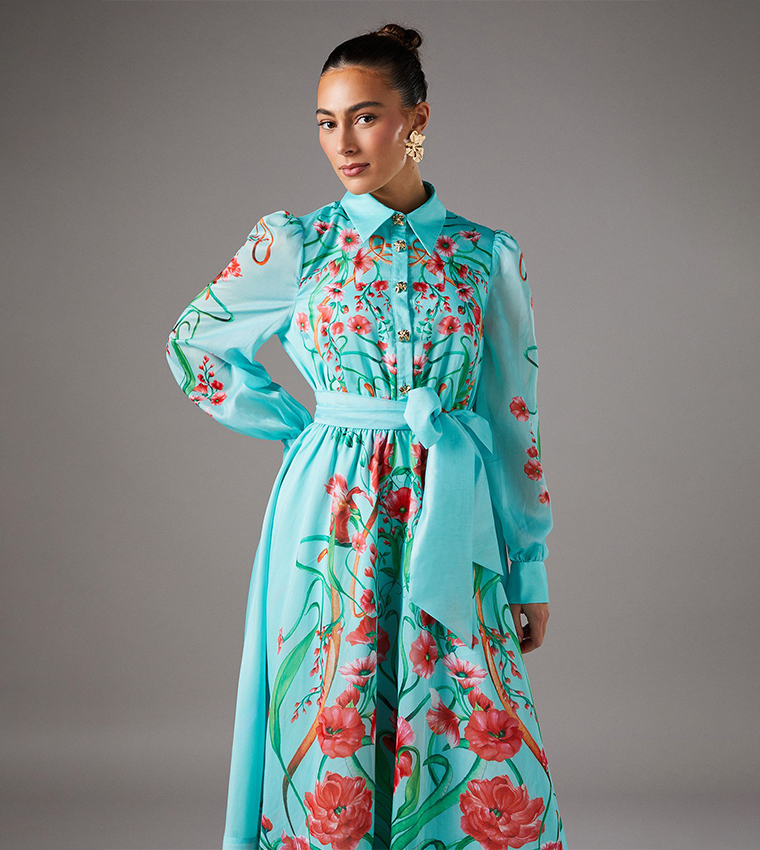 Boarder Print Organza Midi Shirt Dress