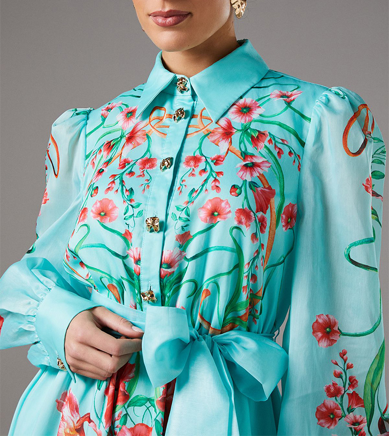 Boarder Print Organza Midi Shirt Dress