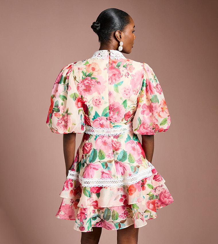 Lace Trim Collared Printed Organza Mini Dress