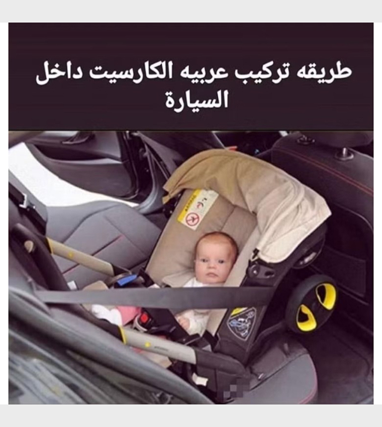 Lion Stroller