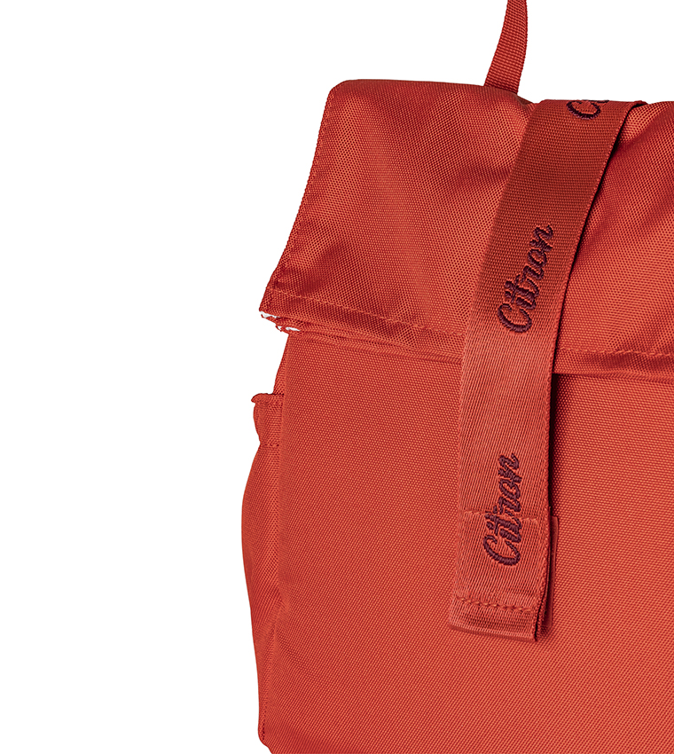 Insulated Rollup Lunch Bag