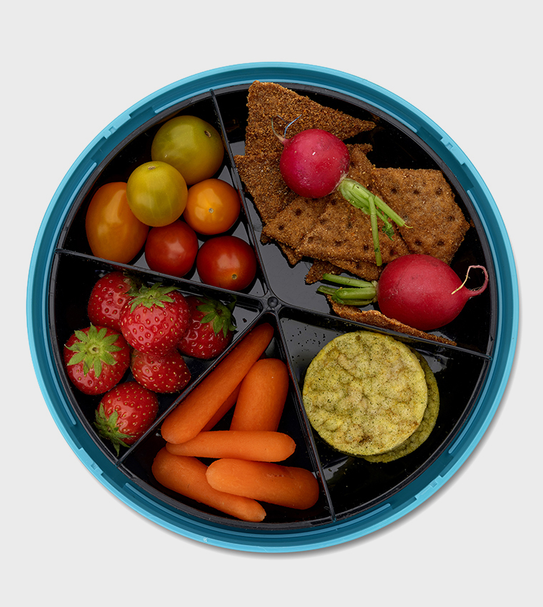 SWEDEN BentoDisc Lunch Box