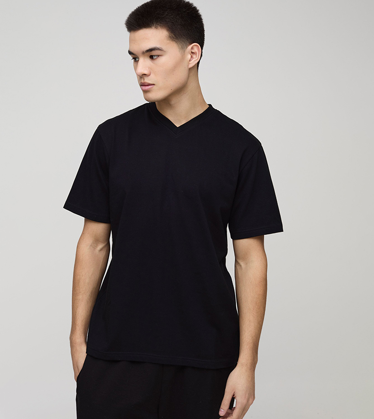2 Pack Regular Fit V-Neck T-Shirts
