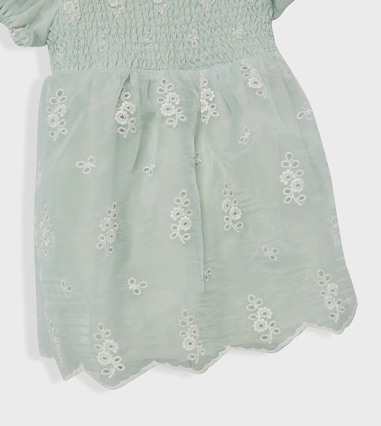 Embroidered Smocked Flared Dress
