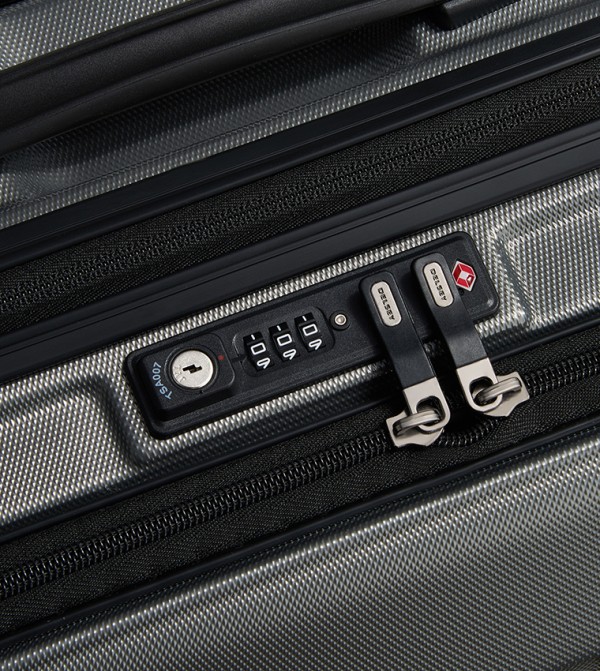 DELSEY DELSEY - Grey Trolley Bags