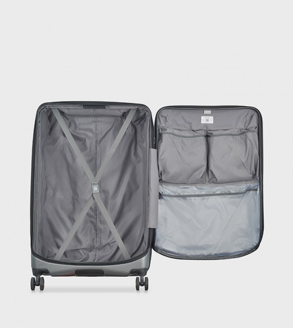 DELSEY DELSEY - Grey Trolley Bags