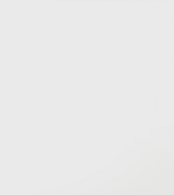 BCBG Scarves - White Silk Scarves