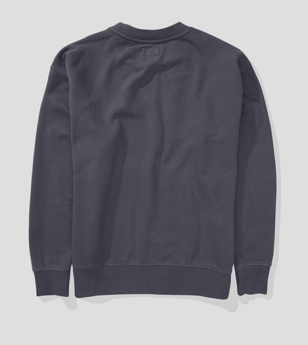American Eagle  Hoodies & Sweatshirts - Blue Sweatshirts