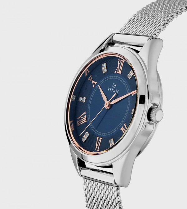 Titan  - Silver undefined
