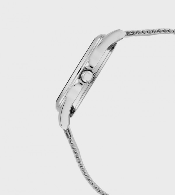 Titan  - Silver undefined