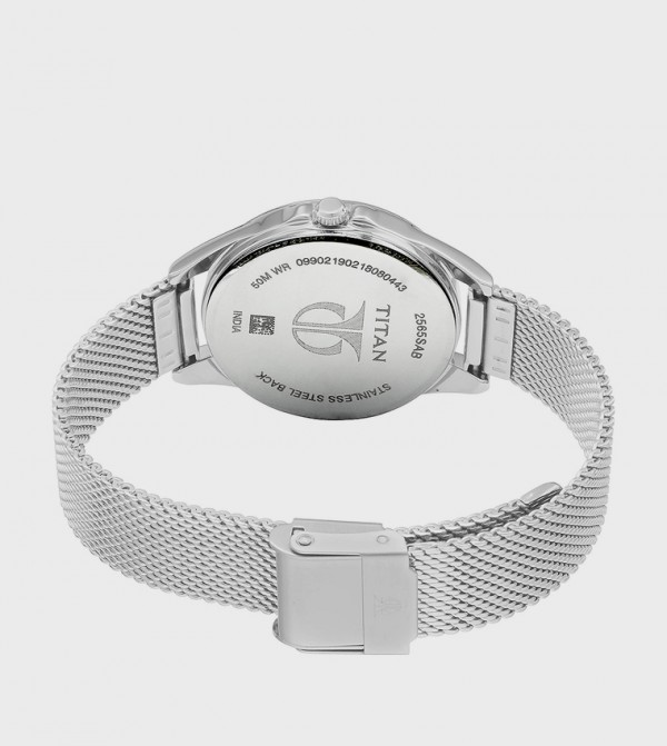 Titan  - Silver undefined
