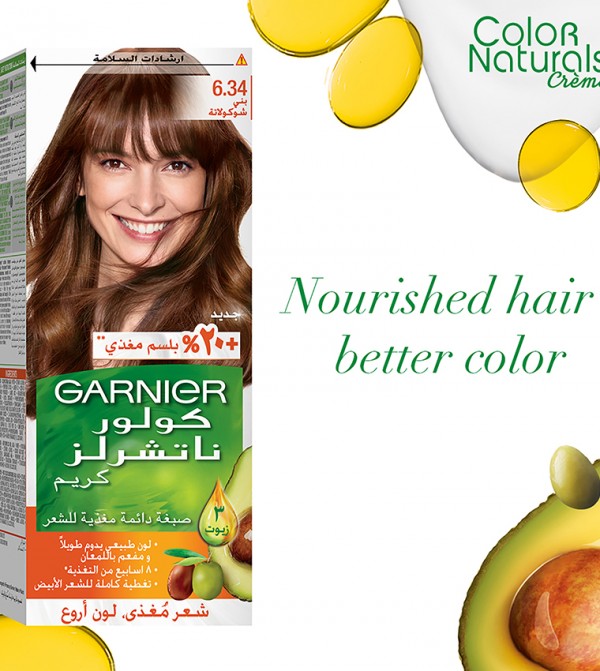 Garnier  - Brown Hair Color