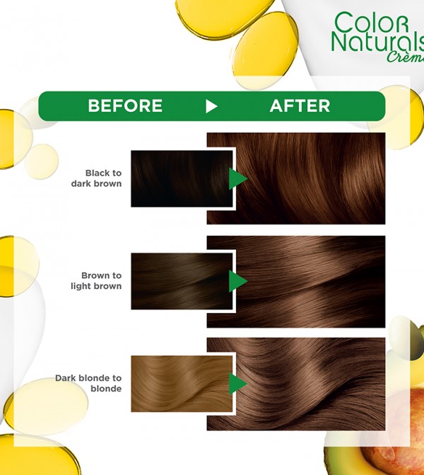 Garnier  - Brown Hair Color