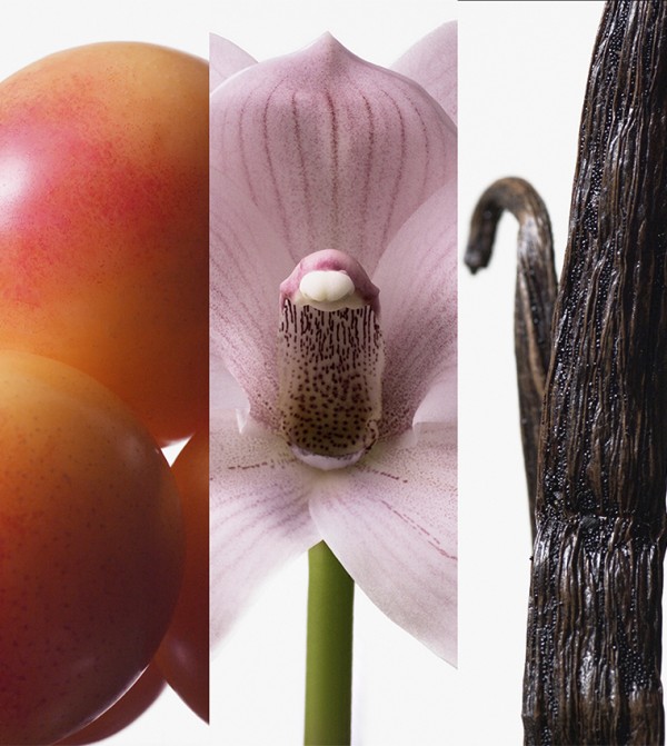 كالفين كلاين الجمال - وردي EDT