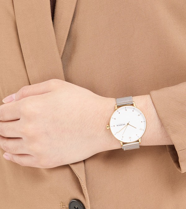 SKAGEN  - Silver Analog Watches