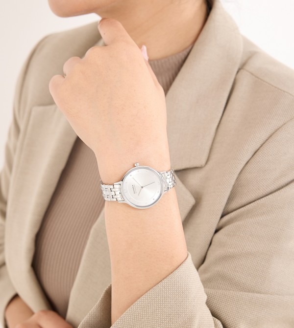 SKAGEN  - Silver Analog Watches